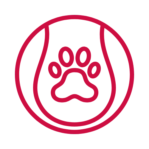 paw